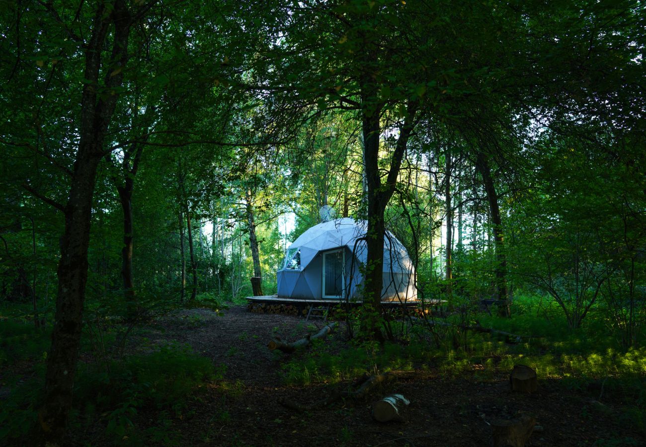 Bungalow en Navacerrada - Domo Estrella del Bosque