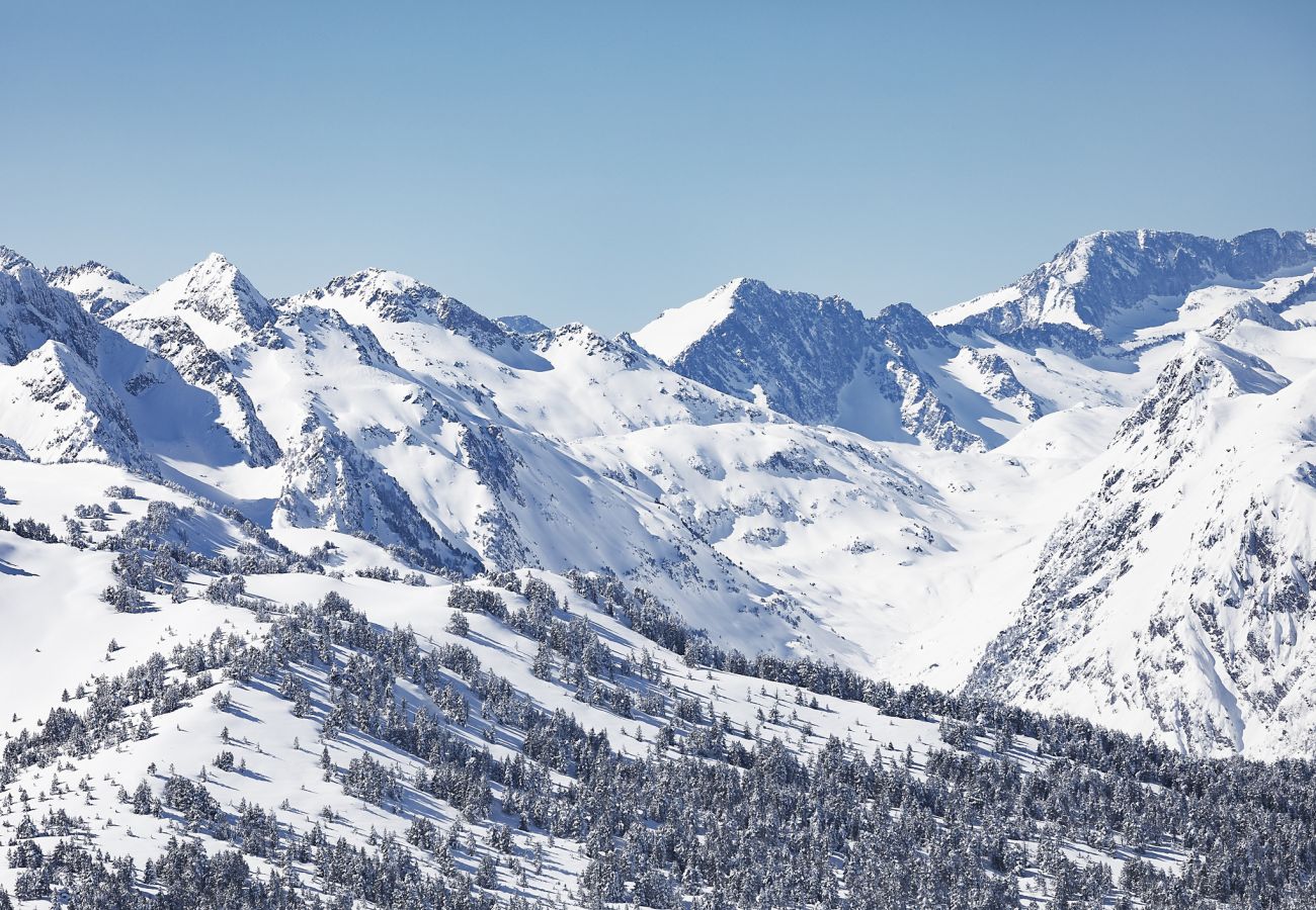 Chalet à Bagergue - Chalet Mont Blanc