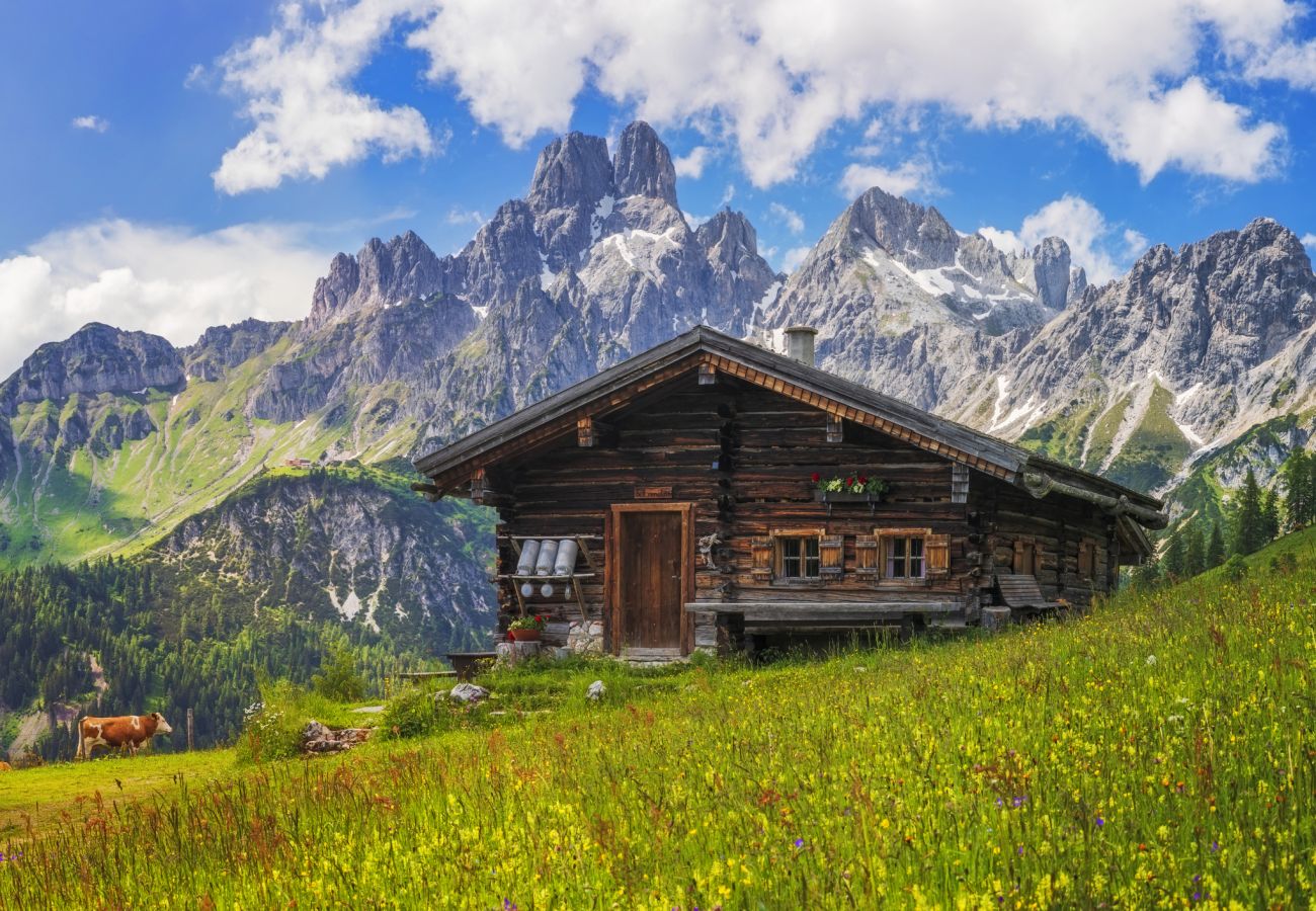 Villetta a Bagergue - Chalet Mont Blanc